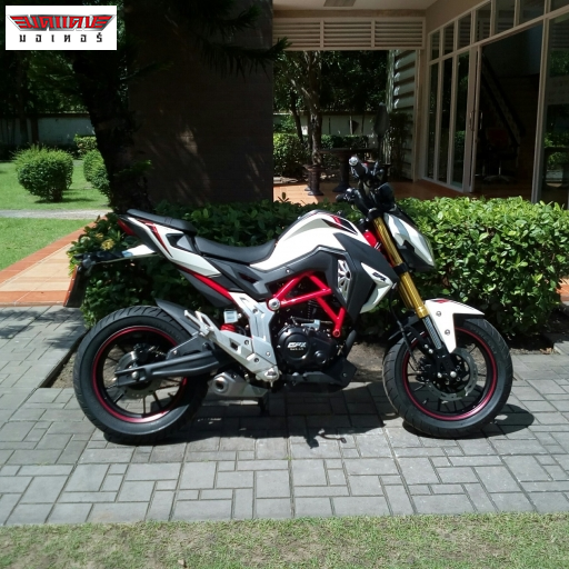 DEMON150GN